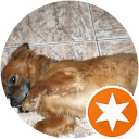 Vagner rodrigues de moraes profile picture